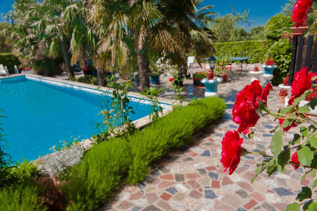 Apartments Paradis Rovinj Ngoại thất bức ảnh
